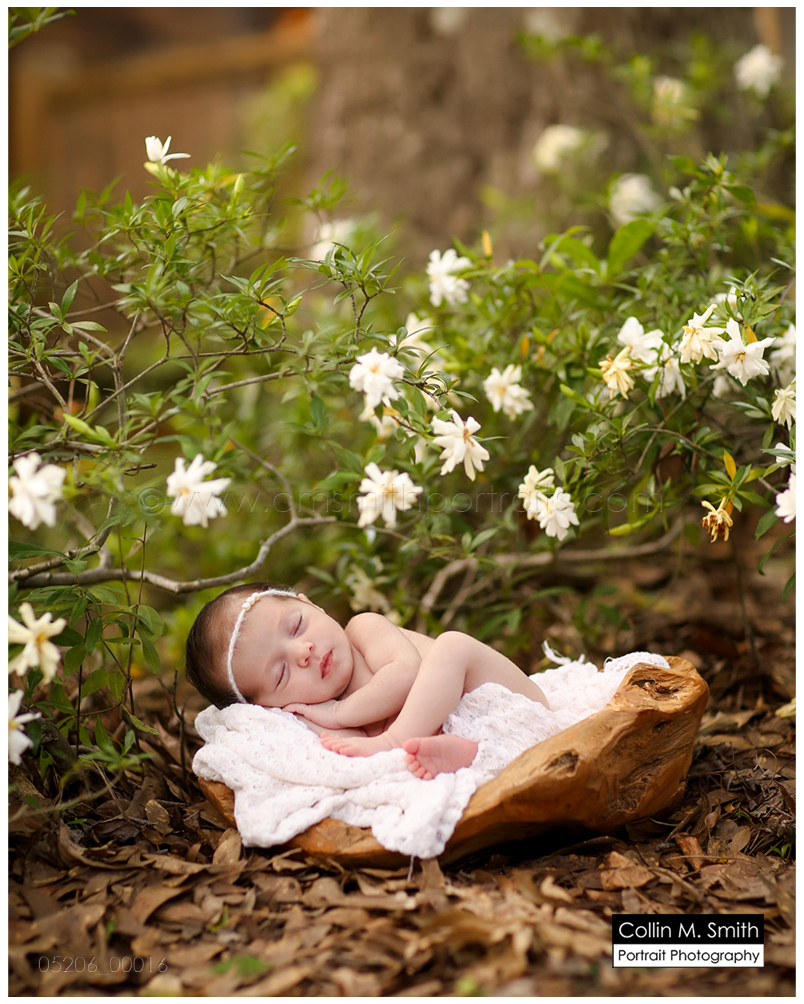 © Collin M. Smith Portrait Photography www.cmsmithportraits.com/blog